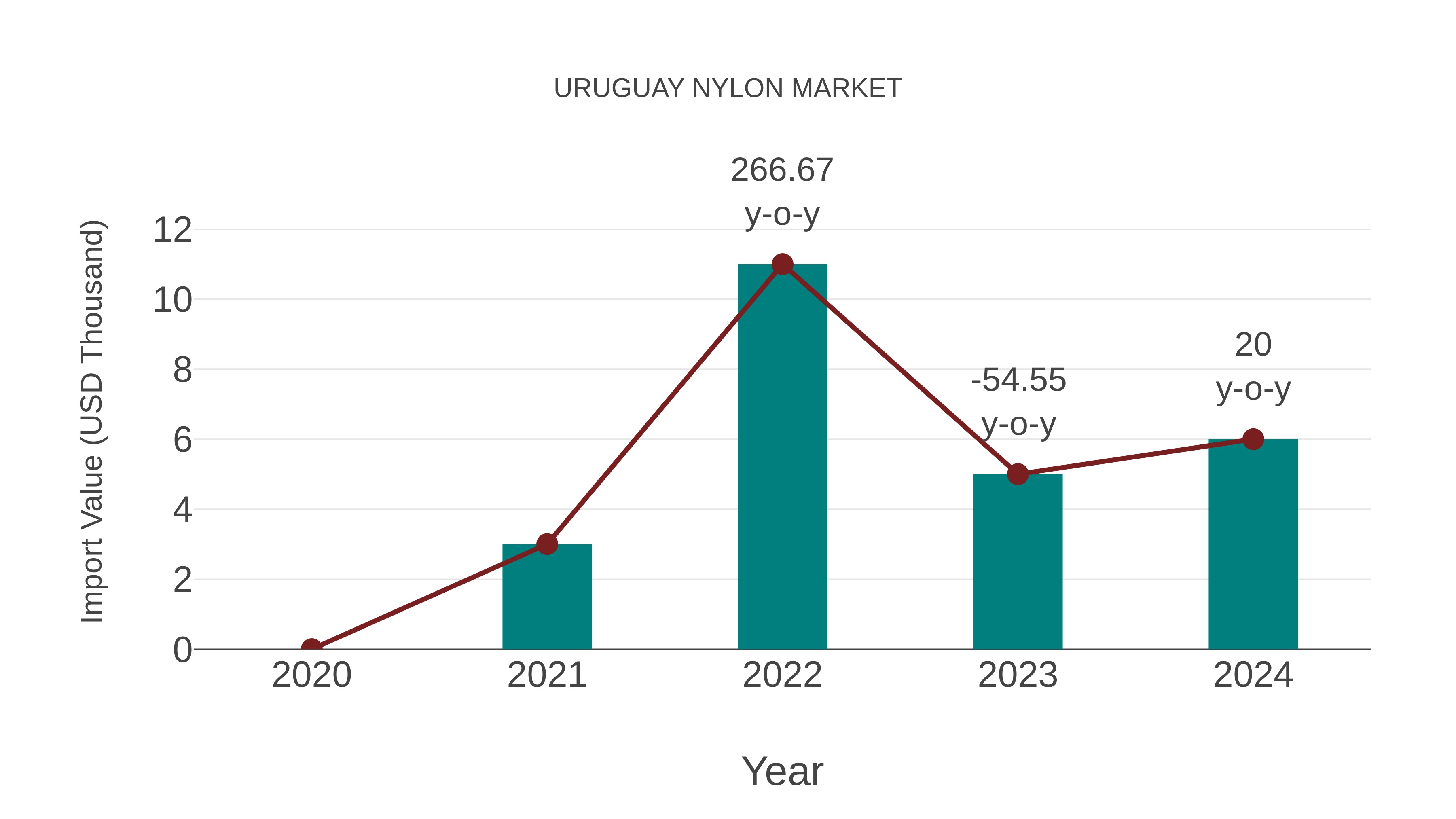 Uruguay Nylon Market: Import Trend Analysis