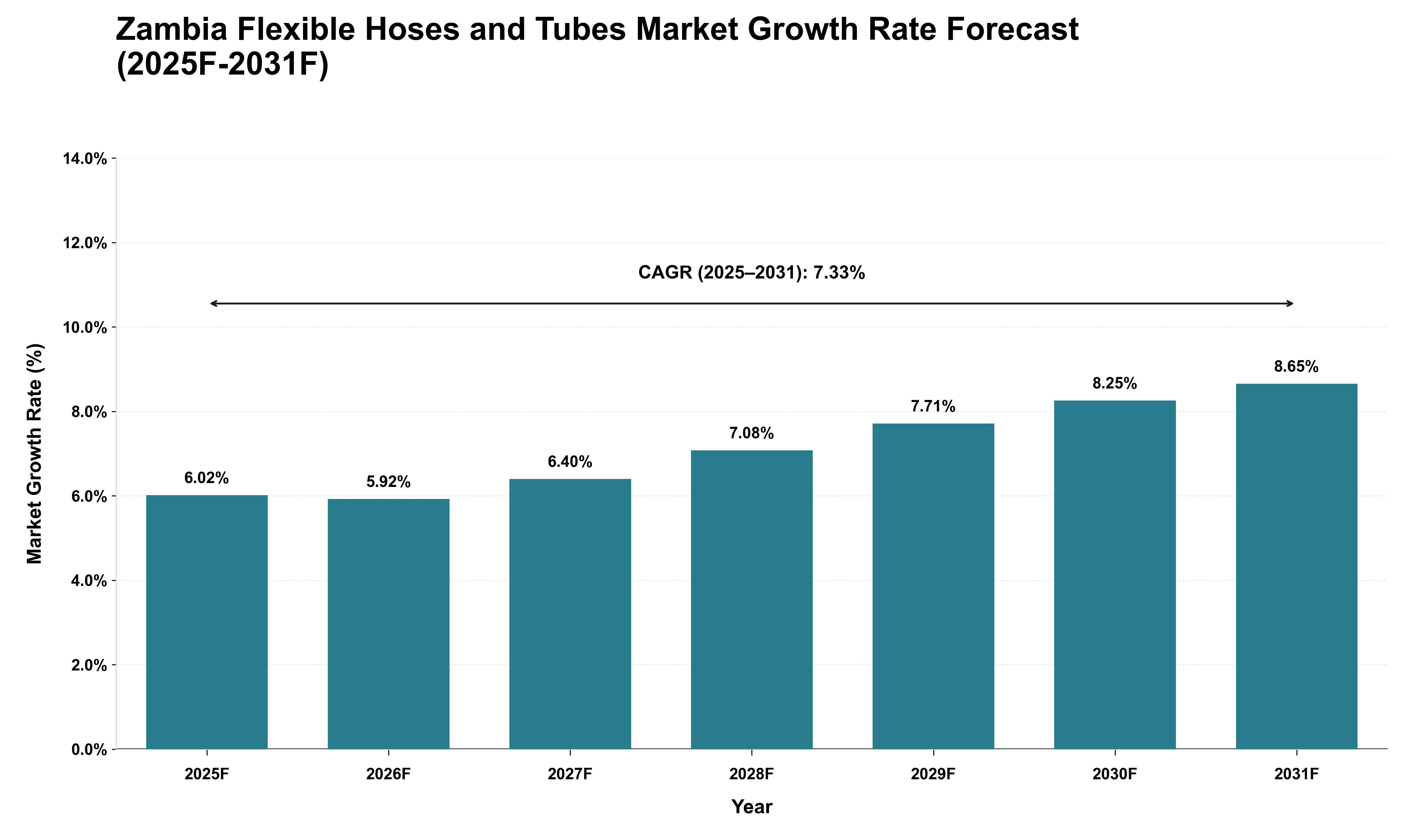 Zambia Flexible Hoses and Tubes Market Growth Rate Analysis (2025 - 2031)