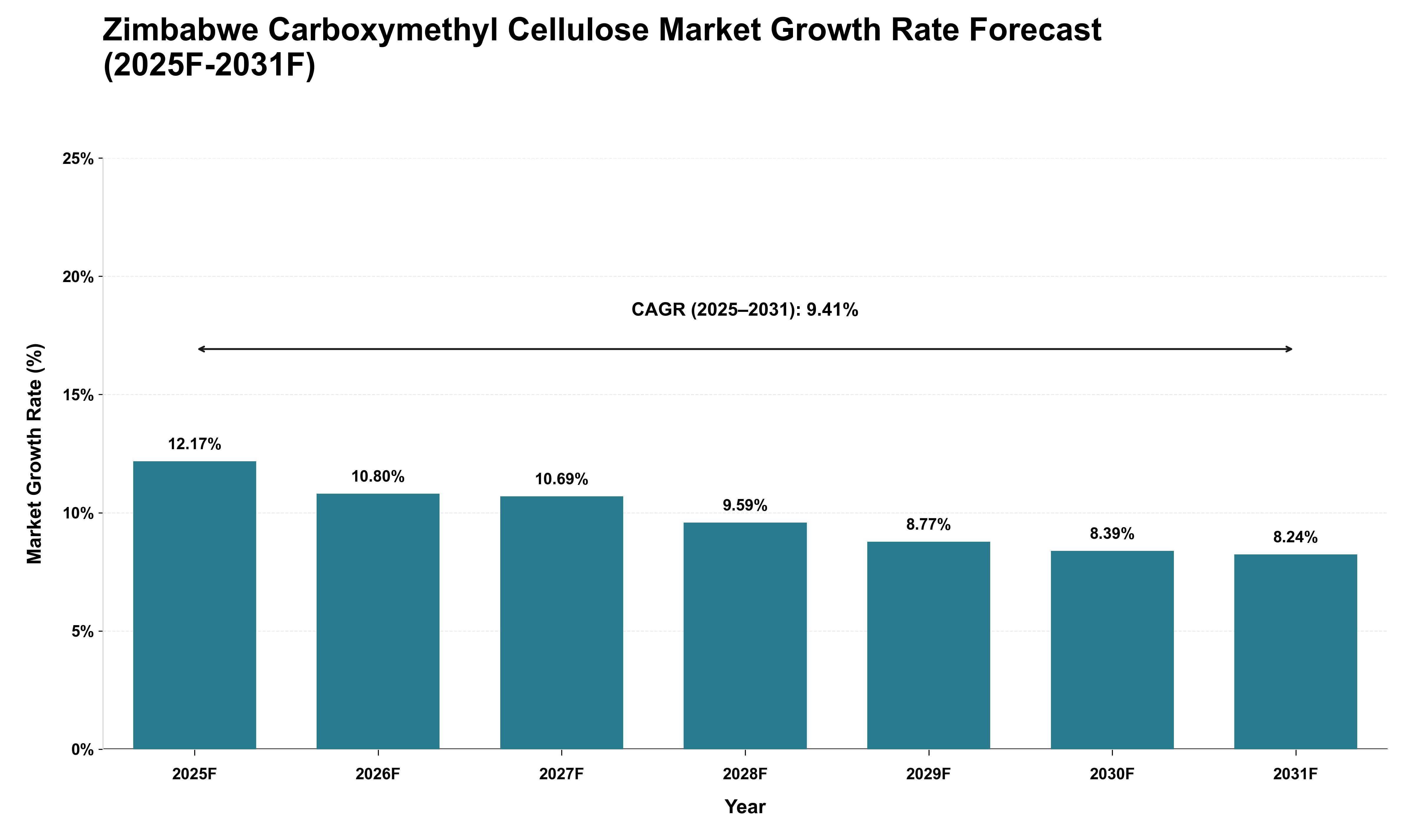 Zimbabwe Carboxymethyl Cellulose Market Growth Rate Analysis (2025 - 2031)