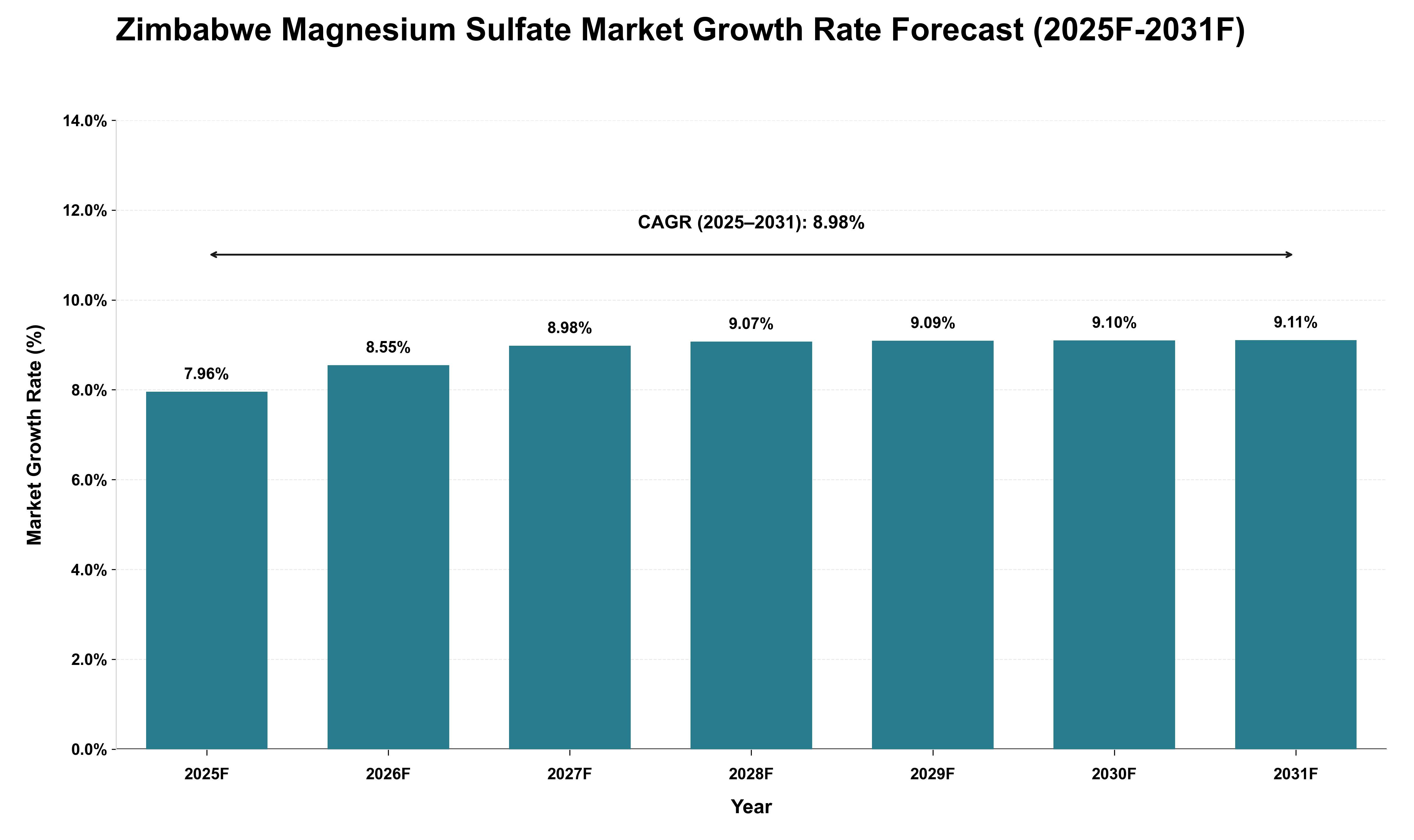Zimbabwe Magnesium Sulfate Market Growth Rate Analysis (2025 - 2031)