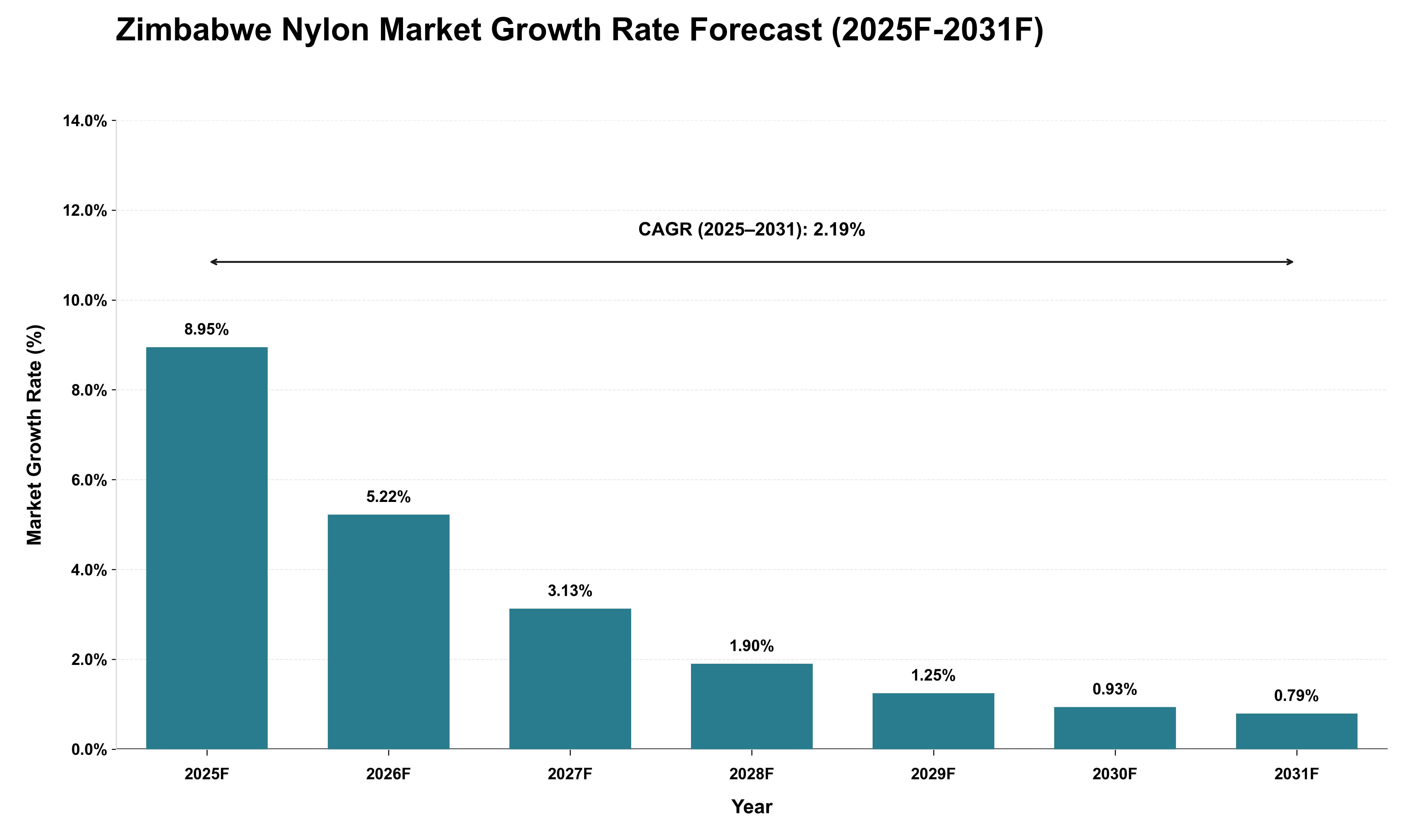 Zimbabwe Nylon Market Growth Rate Analysis (2025 - 2031)