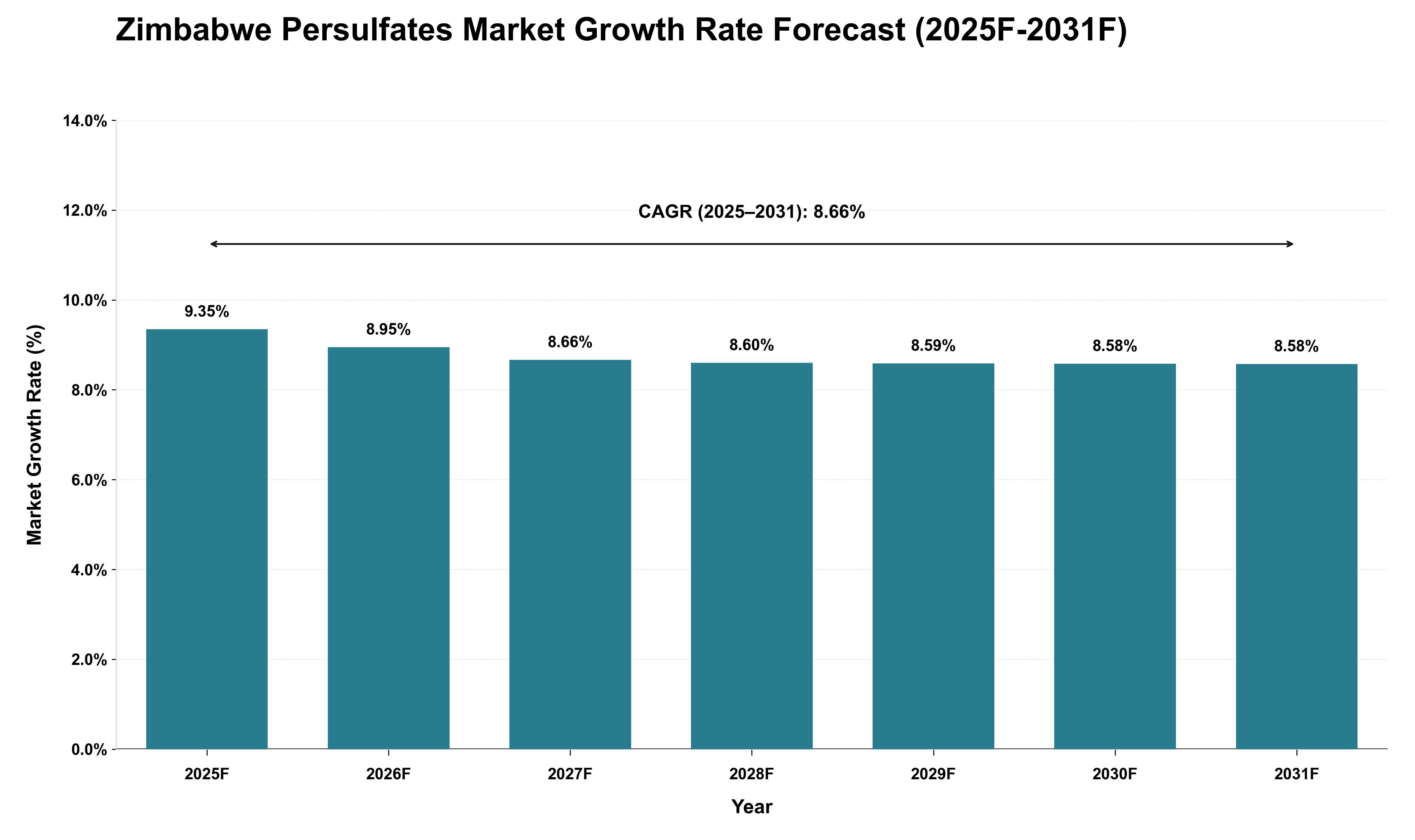 Zimbabwe Persulfates Market Growth Rate Analysis (2025 - 2031)