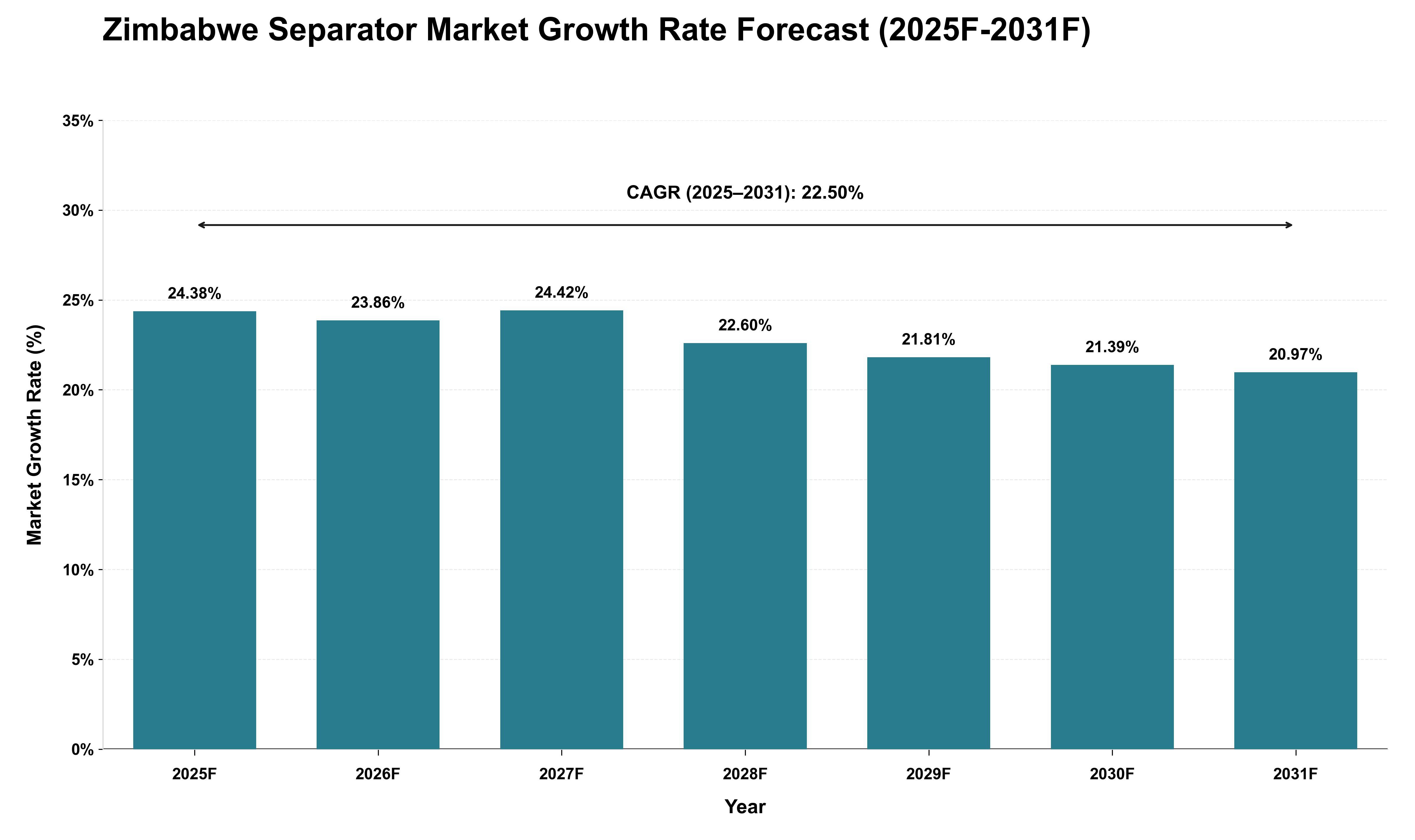 Zimbabwe Separator Market Growth Rate Analysis (2025 - 2031)