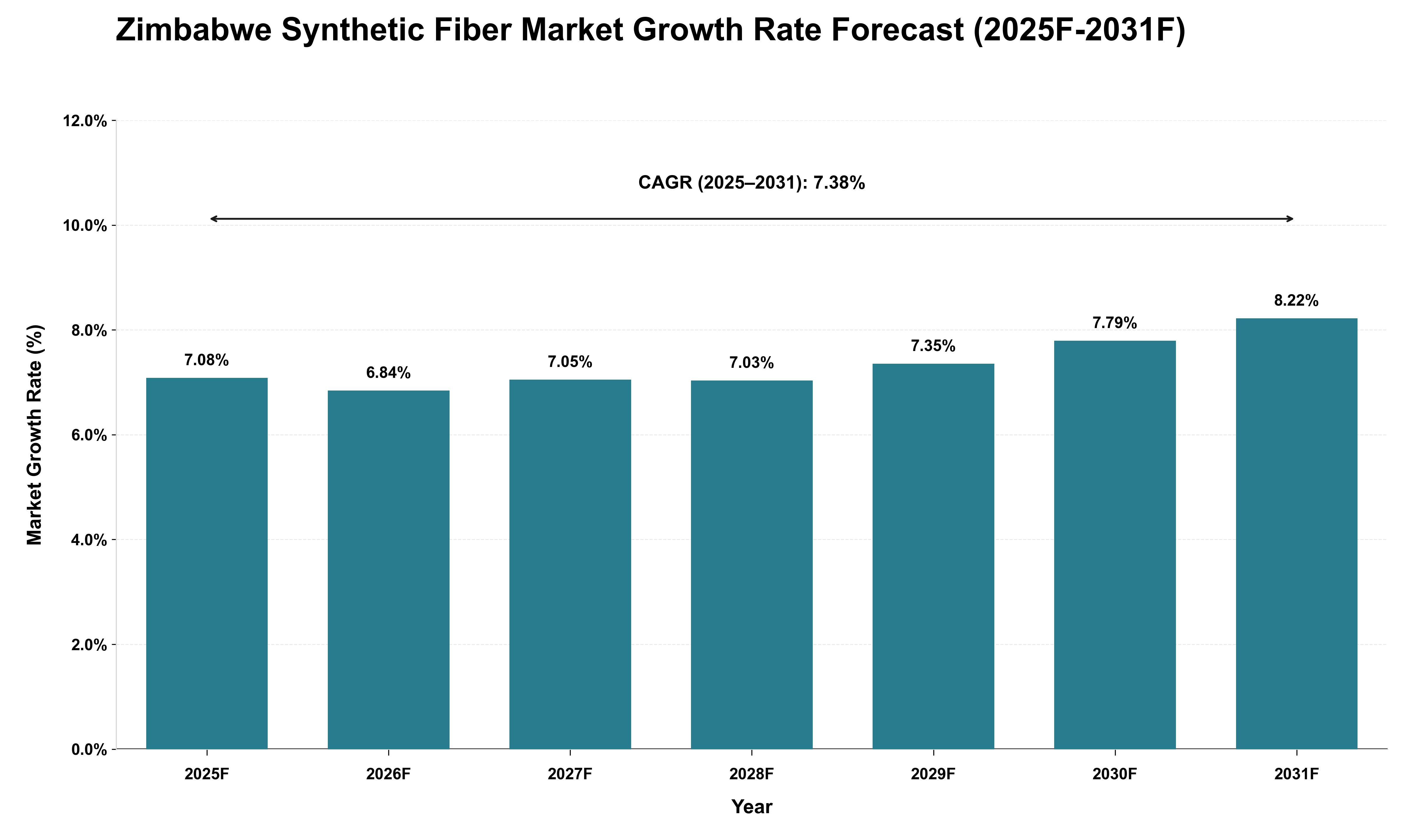 Zimbabwe Synthetic Fiber Market Growth Rate Analysis (2025 - 2031)